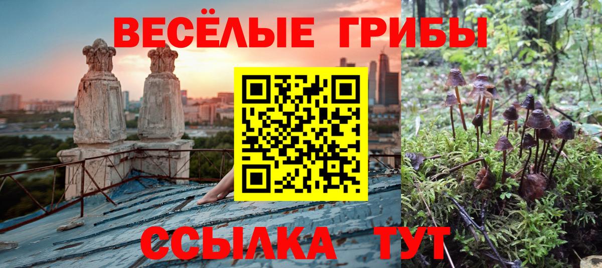 Коломна  Галлюциногенные грибы ЛСД  Вход с VPN 